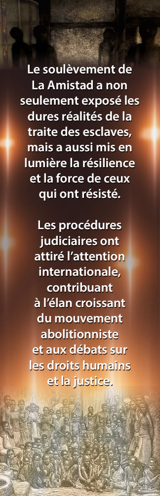 Cartes éducatives La Amistad – Histoire des Noirs | Questions pour tous les niveaux | Curriculum Ontario